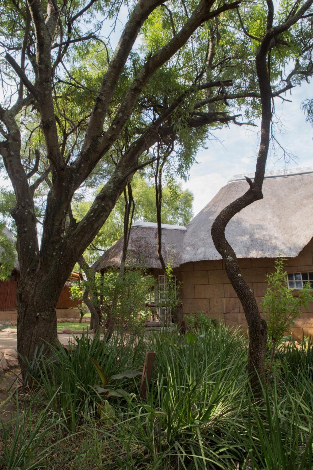 Zebra Nature Reserve Cullinan Exterior photo